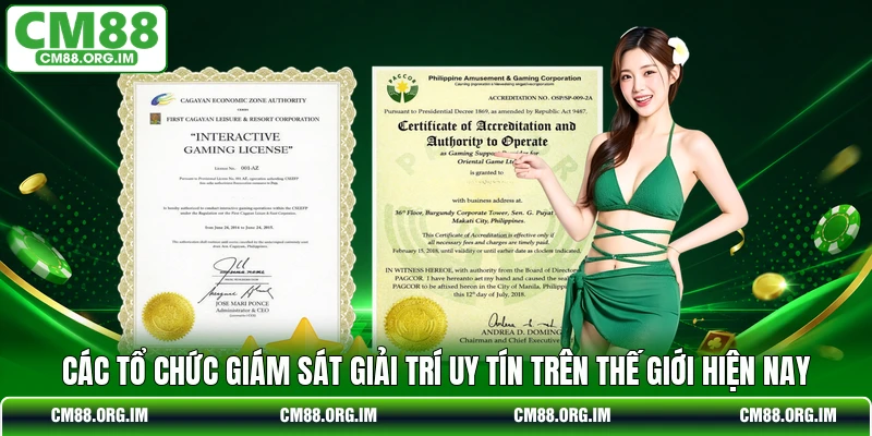 Các tổ chức giám sát giải trí uy tín trên thế giới hiện nay