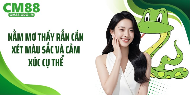 Nằm mơ thấy rắn con cần xét màu sắc và cảm xúc cụ thể