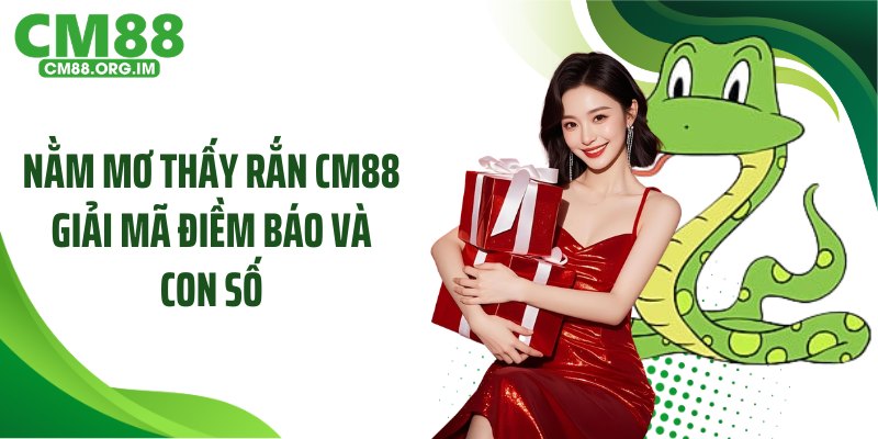 Nằm Mơ Thấy Rắn Con CM88 Giải Mã Điềm Báo Và Con Số
